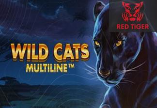 Wild Cats Multiline